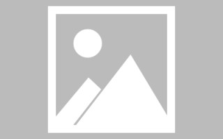 长垣武清网站建设方案（天津武清政府招标网）